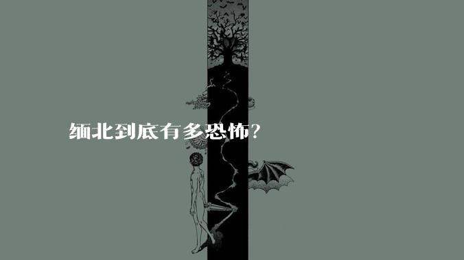 缅北到底有多恐怖？