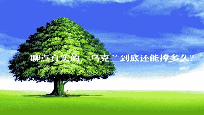 聊点真实的，乌克兰到底还能撑多久？